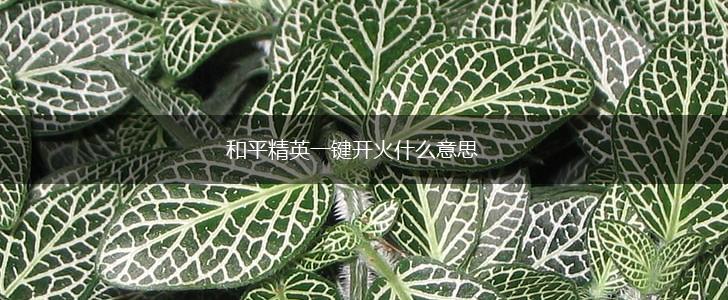 和平精英一键开火什么意思,第1张