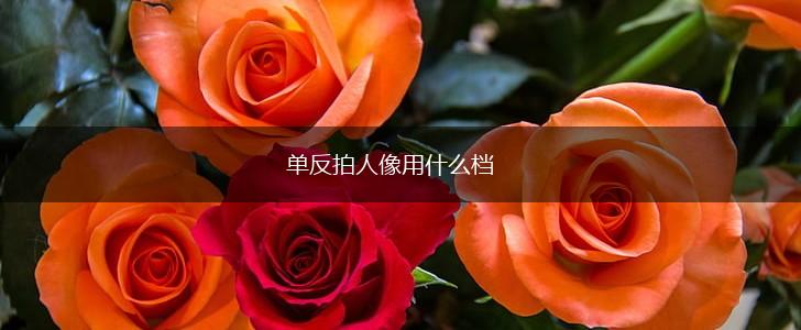 单反拍人像用什么档,第1张