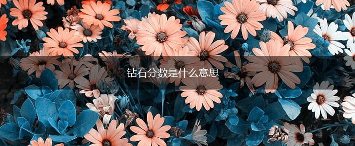 钻石分数是什么意思,第1张