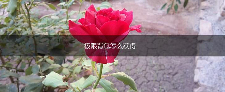 极限背包怎么获得,第1张