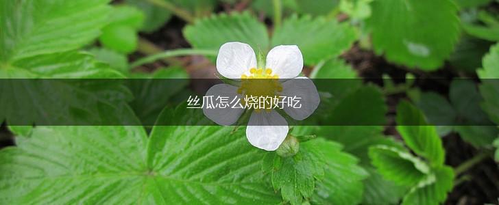丝瓜怎么烧的好吃,第1张