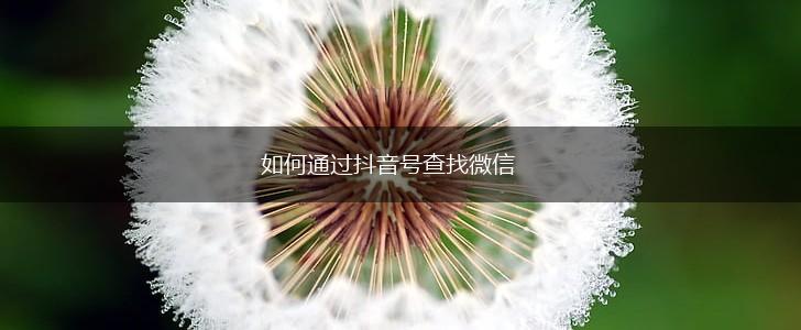 如何通过抖音号查找微信,第1张
