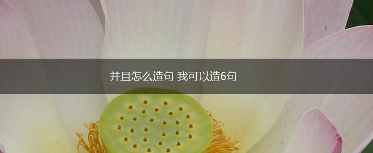 并且怎么造句 我可以造6句,第1张