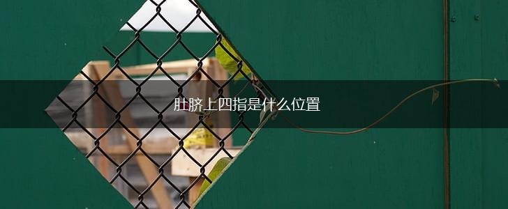 肚脐上四指是什么位置,第1张