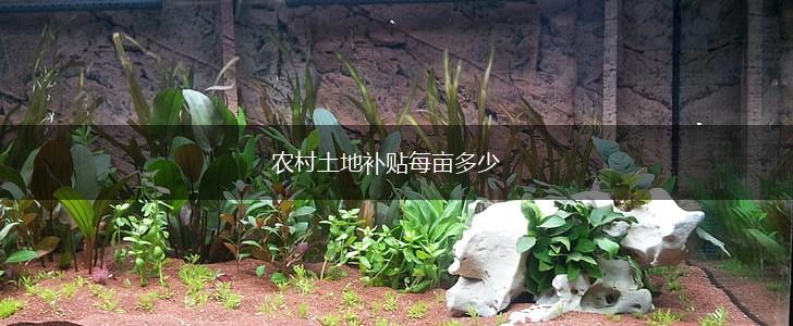 农村土地补贴每亩多少,第1张