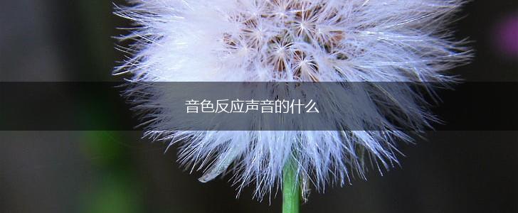 音色反应声音的什么,第1张