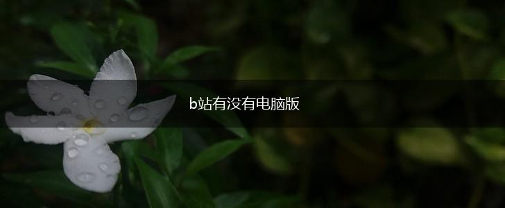 b站有没有电脑版,第1张
