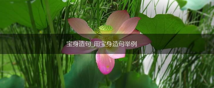 宝身造句_用宝身造句举例,第1张