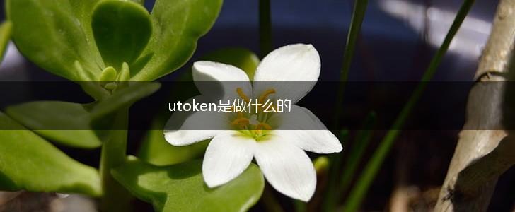 utoken是做什么的,第1张