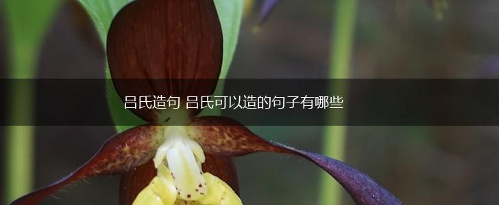 吕氏造句 吕氏可以造的句子有哪些,第1张