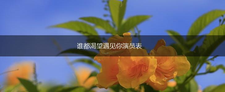 谁都渴望遇见你演员表,第1张
