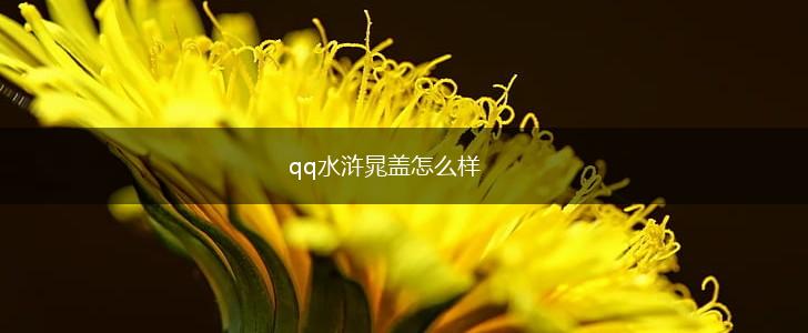 qq水浒晁盖怎么样,第1张 qq水浒晁盖怎么样,第1张