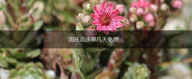 国庆高速哪几天免费,第1张