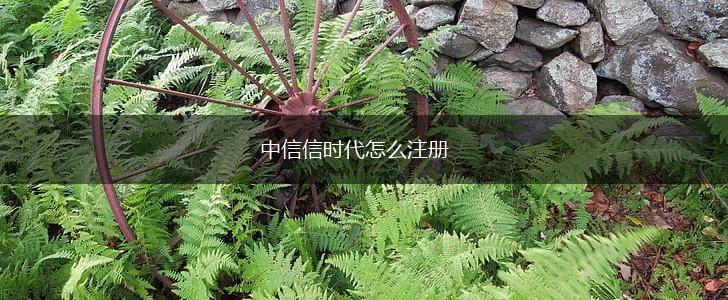中信信时代怎么注册,第1张