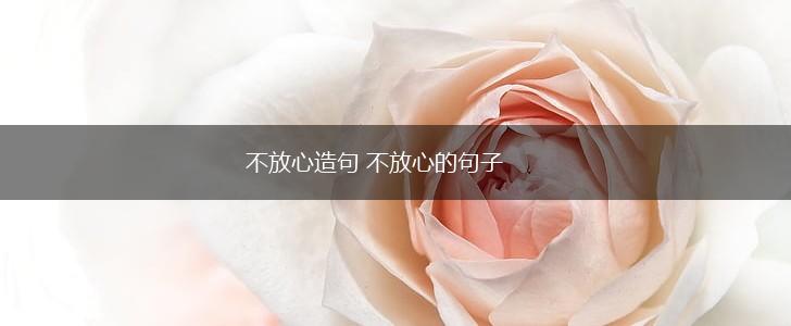不放心造句 不放心的句子,第1张