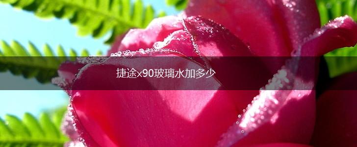 捷途x90玻璃水加多少,第1张