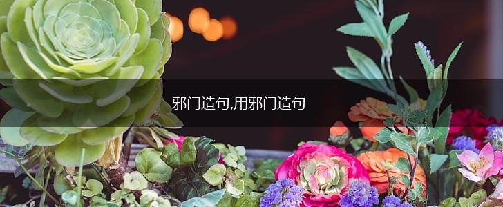 邪门造句,用邪门造句,第1张