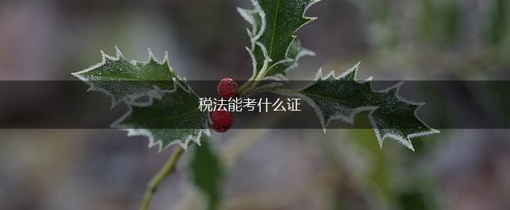 税法能考什么证,第1张