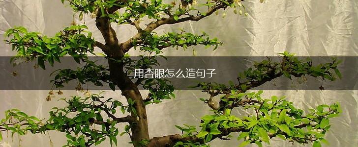 用杏眼怎么造句子,第1张