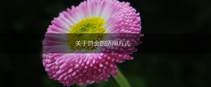 关于罚金的适用方式,第1张