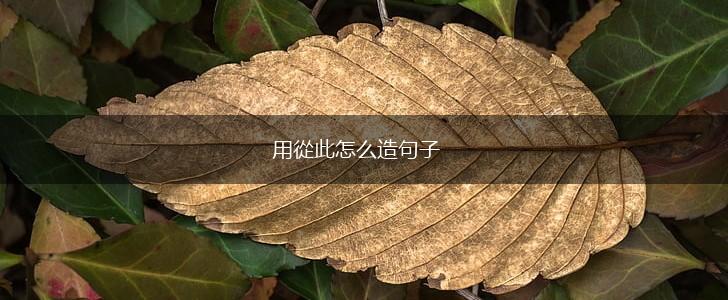 用從此怎么造句子,第1张