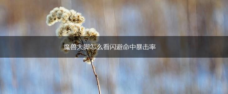 魔兽大脚怎么看闪避命中暴击率,第1张