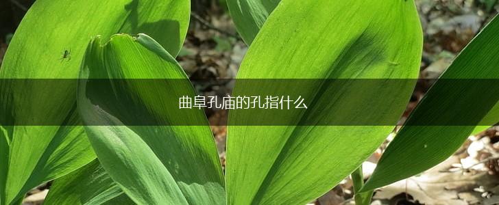 曲阜孔庙的孔指什么,第1张