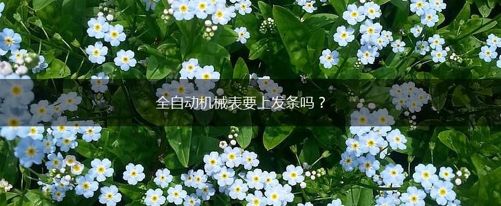 全自动机械表要上发条吗？,第1张