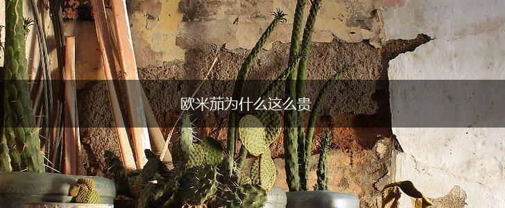 欧米茄为什么这么贵,第1张