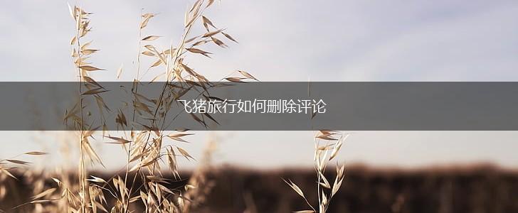 飞猪旅行如何删除评论,第1张