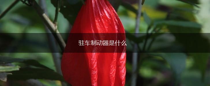 驻车制动器是什么,第1张