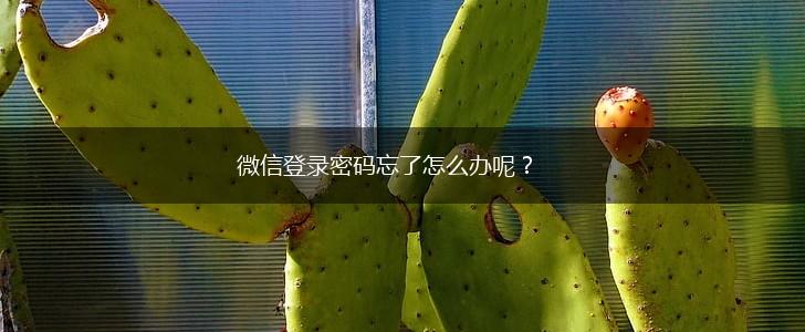 微信登录密码忘了怎么办呢？,第1张