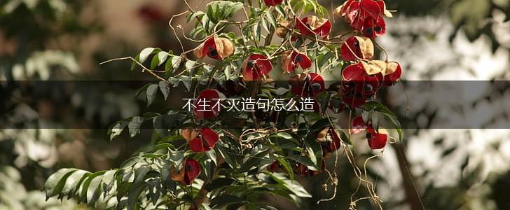 不生不灭造句怎么造,第1张