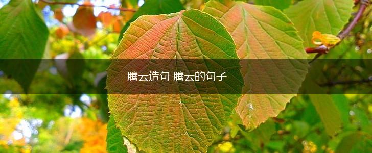 腾云造句 腾云的句子,第1张