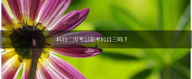 科目二没考过能考科目三吗?,第1张 科目二没考过能考科目三吗?,第1张