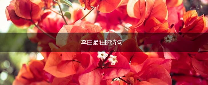 李白最狂的诗句,第1张