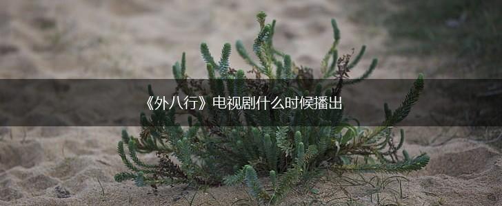 《外八行》电视剧什么时候播出,第1张