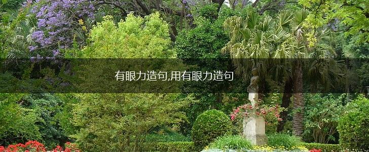 有眼力造句,用有眼力造句,第1张