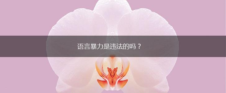 语言暴力是违法的吗？,第1张