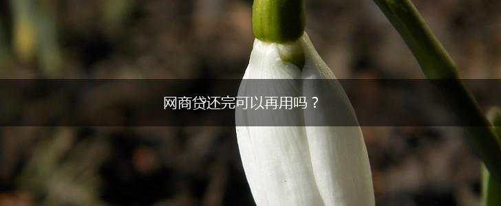网商贷还完可以再用吗？,第1张