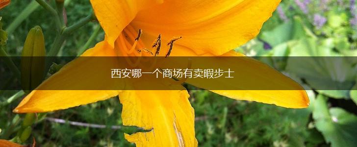 西安哪一个商场有卖暇步士,第1张