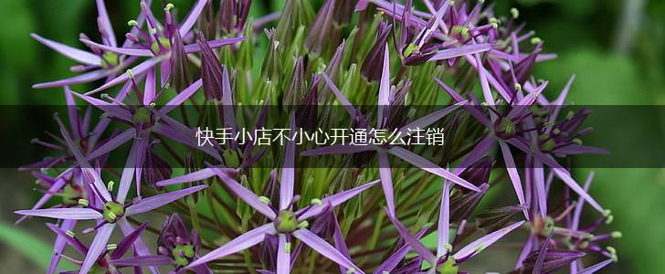 快手小店不小心开通怎么注销,第1张