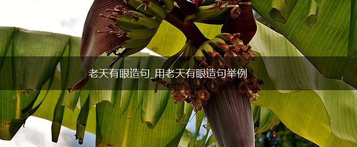 老天有眼造句_用老天有眼造句举例,第1张