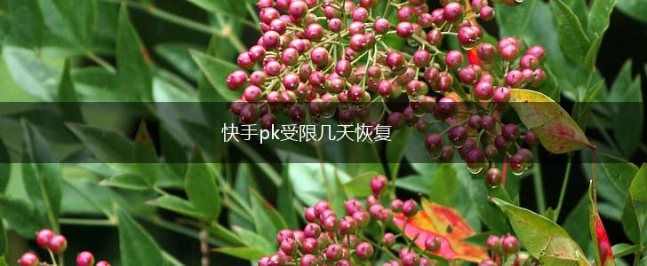 快手pk受限几天恢复,第1张