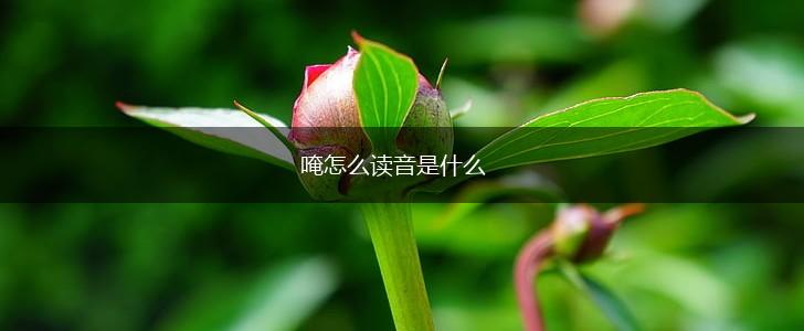 唵怎么读音是什么,第1张