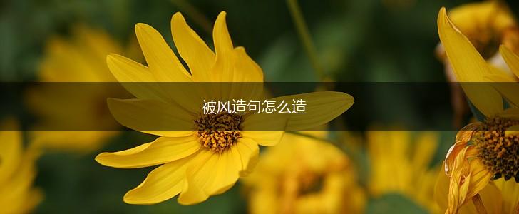 被风造句怎么造,第1张