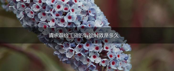 请求双倍工资的诉讼时效是多久,第1张