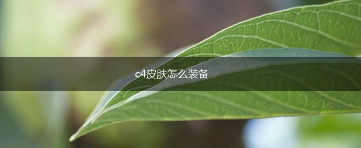 c4皮肤怎么装备,第1张