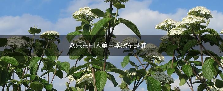欢乐喜剧人第三季冠军是谁,第1张