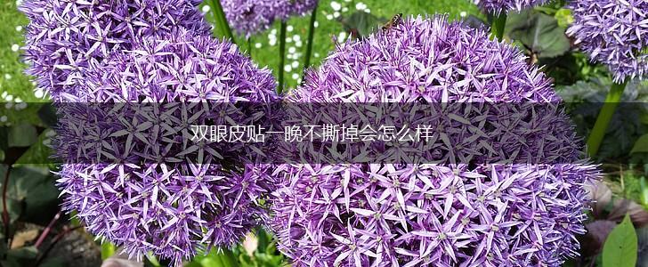双眼皮贴一晚不撕掉会怎么样,第1张 双眼皮贴一晚不撕掉会怎么样,第1张